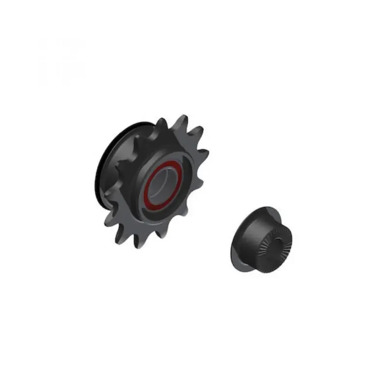 Sonderaktion DT Swiss Freilauf/Rotor Umrüstkit Singlespeed Ratchet LN 10 x 135 mm schwarz - zeitgemäße Lösung - Adapter - Naben Umrüstkits Freilauf