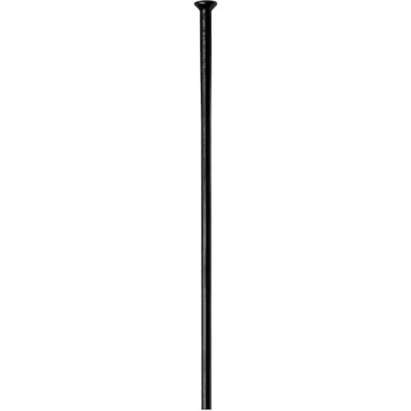 Jetzt Kaufen DT Swiss Speiche Champion 2.0 Straightpull VE100 268 mm schwarz - robuste Allround-Speiche