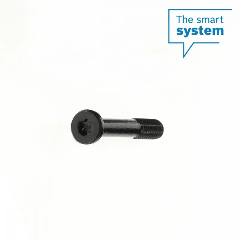 Bosch Befestigungsschraube für Adapter, System Controller - sichere Montage in moderner Ausführung Saisonangebot