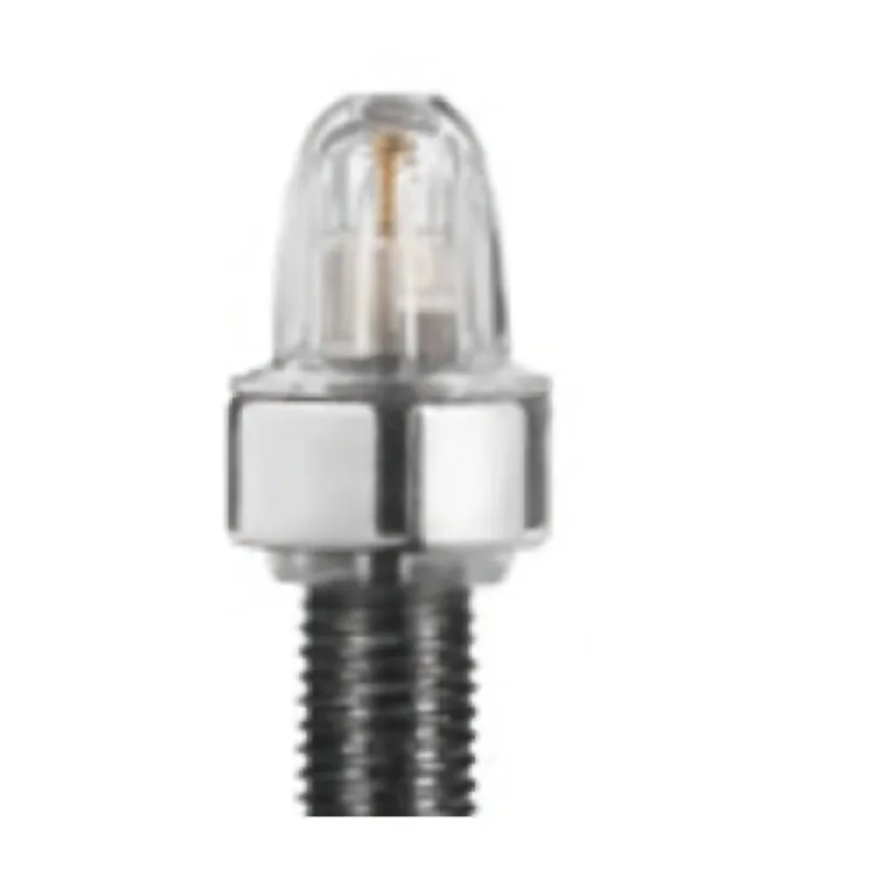 Kostenloser Rückversand Schwalbe Magnet Staubkappe SV 2er Set - Abdeckkappe - Valve Parts & Accessories