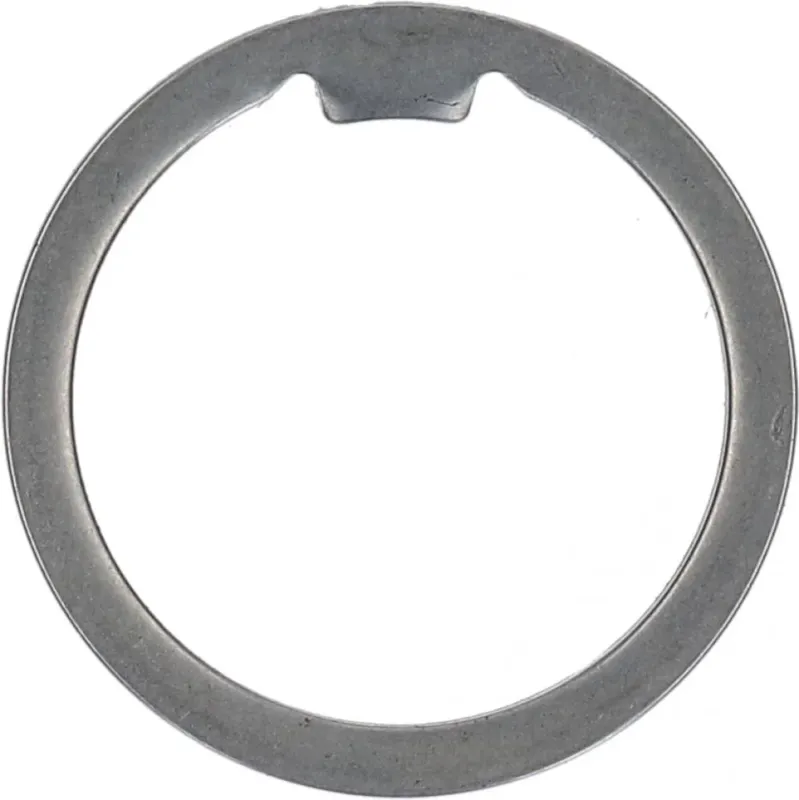 Top-Seller SHIMANO Schutzring SG-S700 - Kettenschutz für Nabenschaltung, ca. 30 g