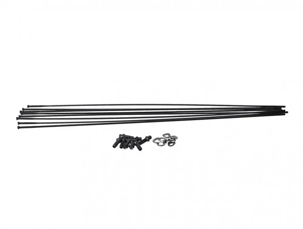 Solange Der Vorrat Reicht DT Swiss Speichenkit für PR1400 DICUT VR/HR 21 mm schwarz - präziser Laufradservice