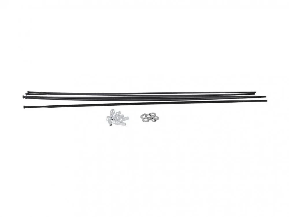 Neue Ware DT Swiss Speichenkit für PR 1600 DICUT 21 mm schwarz - präzises Laufrad-Tuning