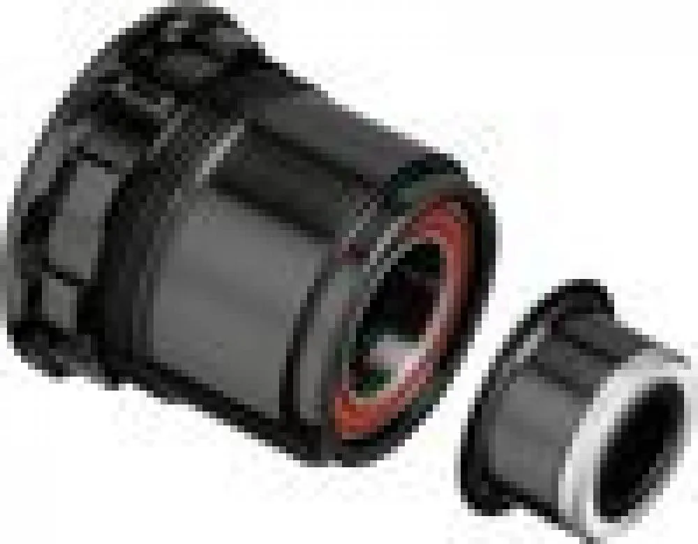 Ausverkauf DT Swiss Freilauf/Rotor Umrüstkit SRAM für Ratchet 10 x 135 mm Schwarz - präzise Naben-Umrüstung