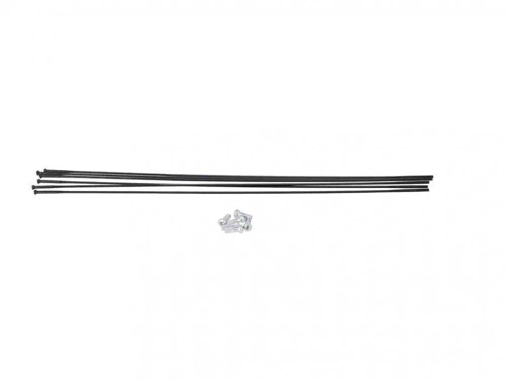 DT Swiss Speichenkit für ARC1100 DICUT VR/HR 48/62/80 mm Schwarz - präzises Ersatzkit Begrenztes Angebot