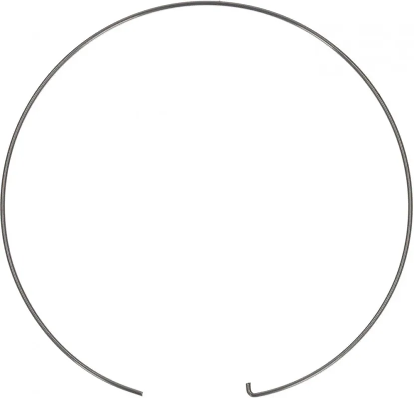 Markenware SHIMANO Feder SG-8R25 - Ersatzfeder für SG-8R25 Nabenschaltung, ca. 1 g