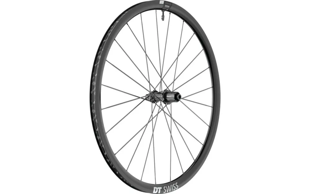 DT Swiss Laufrad ER1600 Spline 30 DB Alu, schwarz, Centerlock, TA - hinten Kostenloser Rückversand
