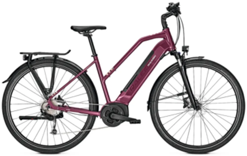 Raleigh Kent 9 - 500 Wh - 28 Zoll - Trapez - cassis glossy - Größe 43 CM Online Kaufen