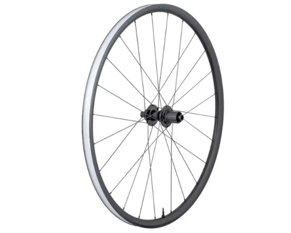 Mega-Angebot Bontrager Checkpoint 28" Gravel-Hinterrad, Paradigm 23 TLR Disc | black - Shimano HG 11-Gang
