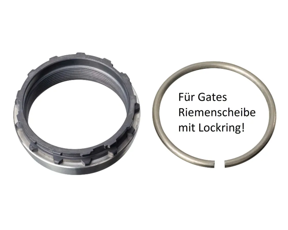Meistverkauft Steckritzel-Adapter mit Aluminium Lockring für Splined Carrier L Gates