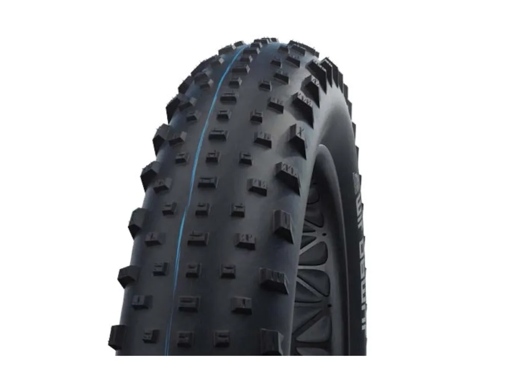 Schwalbe - Reifen Schwalbe Jumbo Jim HS466 fb. 26x4.00Zoll100-559sw-SnSk Evo TLE SG AdxSpG Markenprodukt